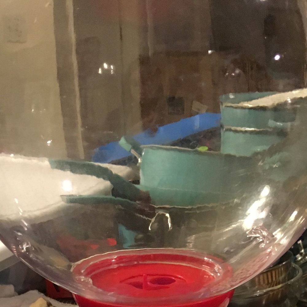 Gum-ball machine that plays music